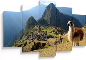 Obrázok - Lama a Machu Picchu (150x105 cm)