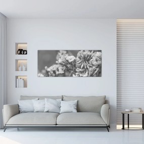 Obraz - Sušené kvety (120x50 cm)