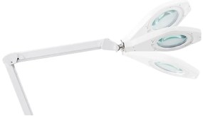 Livarno home LED lampa s lupou  (100379824)