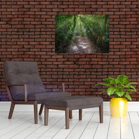 Sklenený obraz - Slnečné lúče v džungli (70x50 cm)