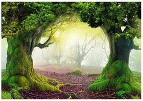 Samolepiaca fototapeta - Enchanted forest Veľkosť: 245x175, Verzia: Samolepiaca
