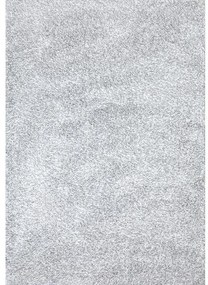 Koberec Shaggy Harmony Mono 1,33/1,9 Pc00b Hrg37