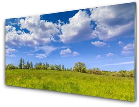 Skleneny obraz Lúka tráva nebo krajina 120x60 cm