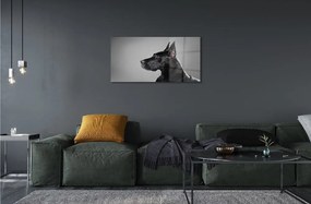 Sklenený obraz Čierny pes 125x50 cm
