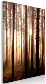 Artgeist Obraz - Forest Paths (1 Part) Vertical Veľkosť: 20x30, Verzia: Na talianskom plátne