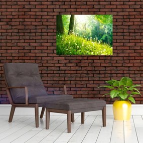 Sklenený obraz - Magická lúka plná púpav (70x50 cm)