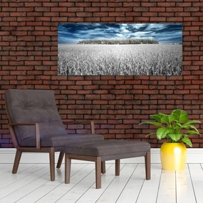 Obraz pole (120x50 cm)