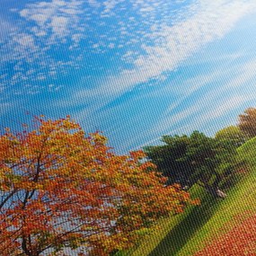 Obraz - Jesenná krajina (120x50 cm)