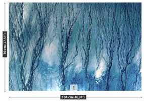 Fototapeta Vliesová Modré riasy 104x70 cm