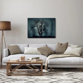 Obraz stromov pri zatmení (70x50 cm)