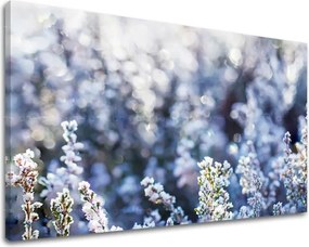 Obraz na stenu KVETY KV067E11 - 100x150 cm