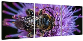 Obraz včely na kvetine (s hodinami) (90x30 cm)