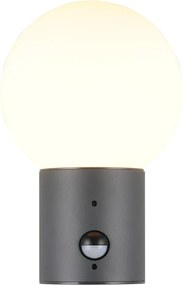 Nástenné vonkajšie svietidlo so senzorom pohybu ø 18 cm Mures – Trio