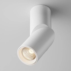 Stropné svietidlo MAYTONI DAFNE 3000K C027CL-L10W