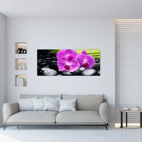Obraz - Orchidey (120x50 cm)