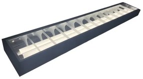 Žiarivkové svietidlo T8 2xG13/18W/230V 120 cm čierna