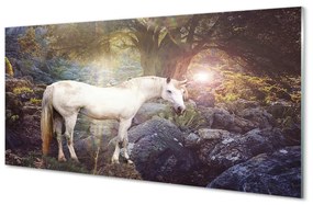 Obraz na akrylátovom skle Unicorn v lese 120x60 cm