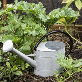 Ib Laursen Kovová záhradná krhla Zinc 5 l