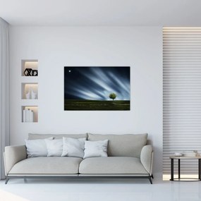 Obraz polárna žiara nad vresoviskom (90x60 cm)