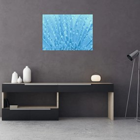 Obraz - Makro záber kvetu (70x50 cm)