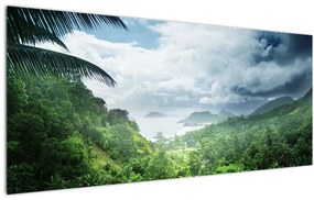 Obraz - Seychelská jungle (120x50 cm)
