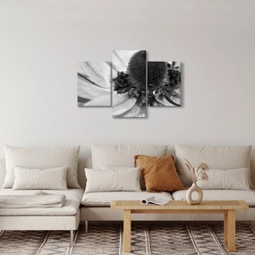 Obraz - Kvetina v čiernobielej (90x60 cm)
