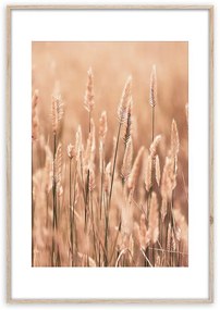 Artbox Digi 50x70 Ab079 Grasses II