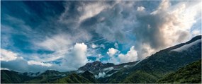 Obraz hôr (120x50 cm)