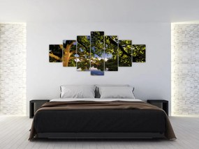 Obrázok stromu - moderné obrazy