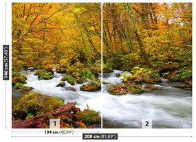 Fototapeta Vliesová Rieka v japonsku 104x70 cm