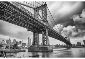 Ceduľa New York Bridge
