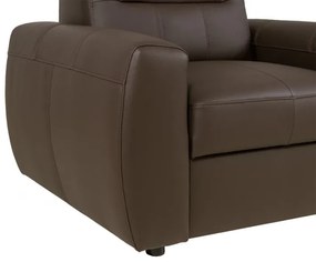 Kožené kreslo FELIS, hnedá