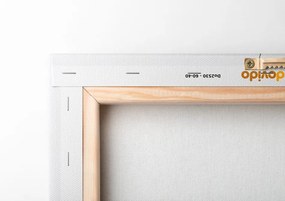 Obraz minimalistické steblá trávy