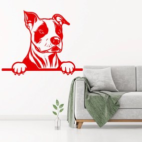 Veselá Stena Samolepka Americký staford Farba: červená, Veľkosť: 80 x 65 cm