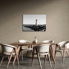 Obraz - Maják na pobreží, Santa Cruz, Kalifornia (70x50 cm)