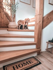 Hanse Home, Rohožka Home kokos 105678 – na von aj na doma, 27x70, hnedá, chodba / predsieň