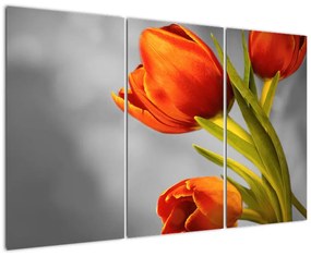 Obraz tulipánov