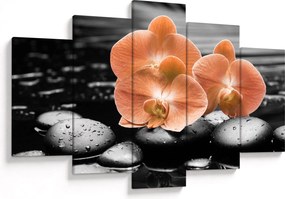 Obraz - Oranžové orchidey (150x105 cm)