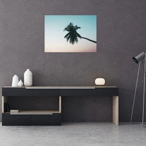 Sklenený obraz - Palma na Bali (70x50 cm)