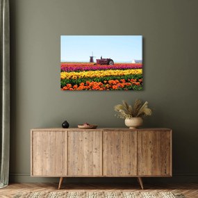 Obraz tulipánové farmy (90x60 cm)