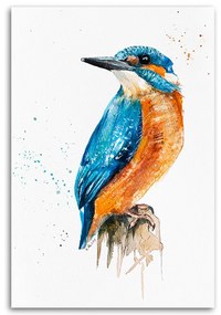 Gario Obraz na plátne Kingfisher - Dorota Martyńska Rozmery: 70 x 100 cm