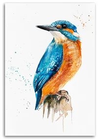 Gario Obraz na plátne Kingfisher - Dorota Martyńska Rozmery: 70 x 100 cm