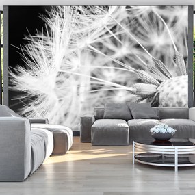 Artgeist Fototapeta - Black and white dandelion Veľkosť: 100x70, Verzia: Premium