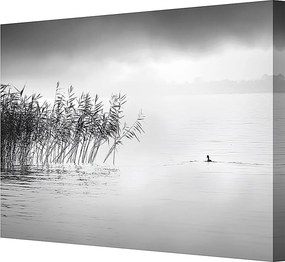 Plátno maľba By the Lake II