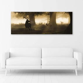 Gario Obraz na plátne Jeleň v hmle Rozmery: 90 x 30 cm