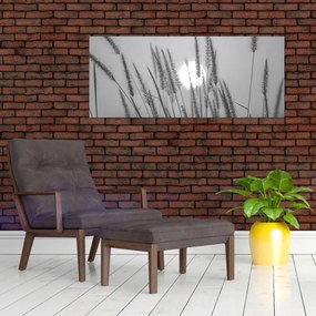 Obraz - Lúka pri západe slnka (120x50 cm)