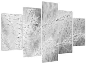 Obraz - Pampas grass N⁰1 (150x105 cm)