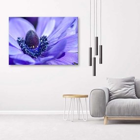 Gario Obraz na plátne Modrá a fialová kvetina Rozmery: 60 x 40 cm