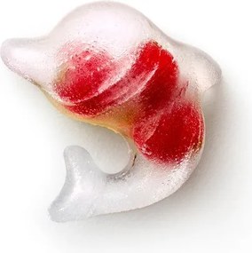 Forma na ľad – Lékué