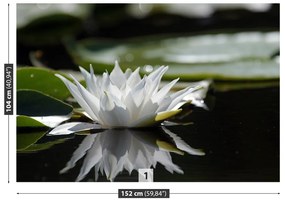 Fototapeta Vliesová Biely lotos 104x70 cm